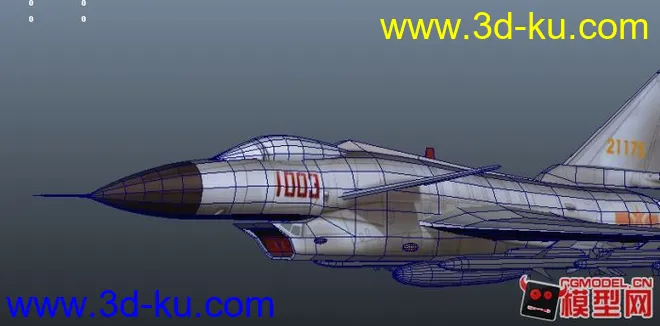 J_10战斗机模型的图片2