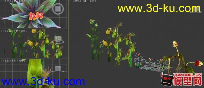 游戏里面的植物模型的图片1