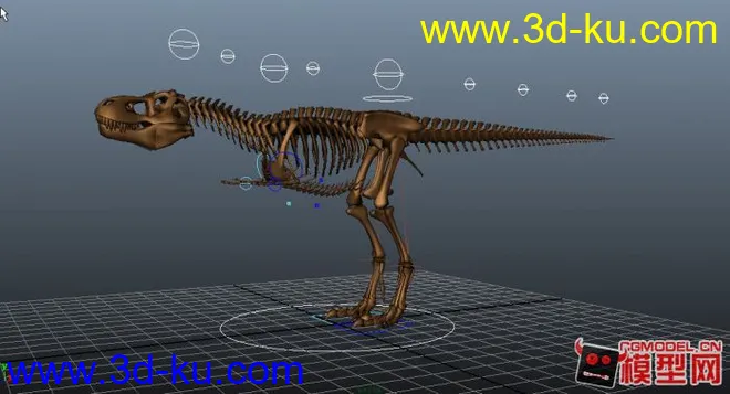 大恐龙骨骼绑定 蚊子骨骼绑定模型的图片2