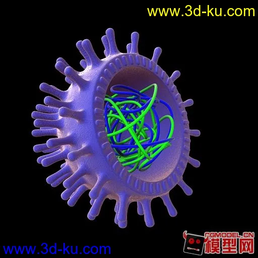 病毒 H7N9 H5N1 H1N1 模型下载的图片1