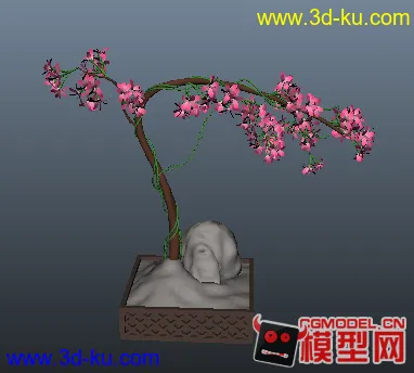 樱花盆景模型的图片1
