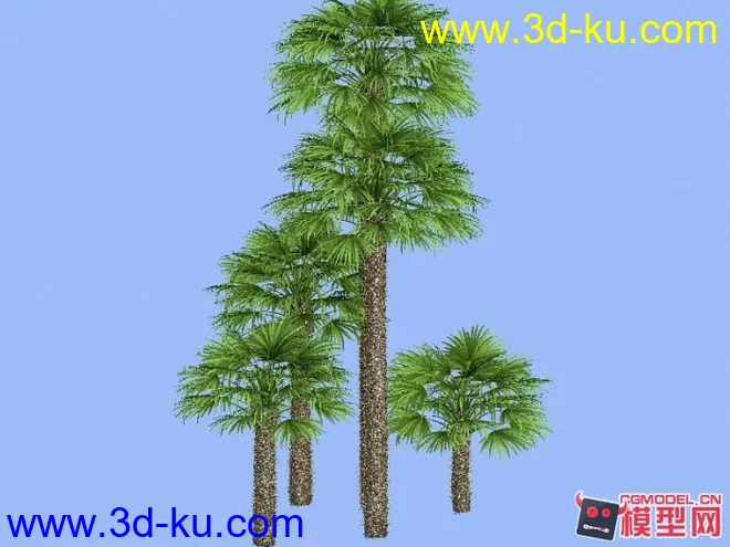 棕榈树团 免费下载模型的图片1
