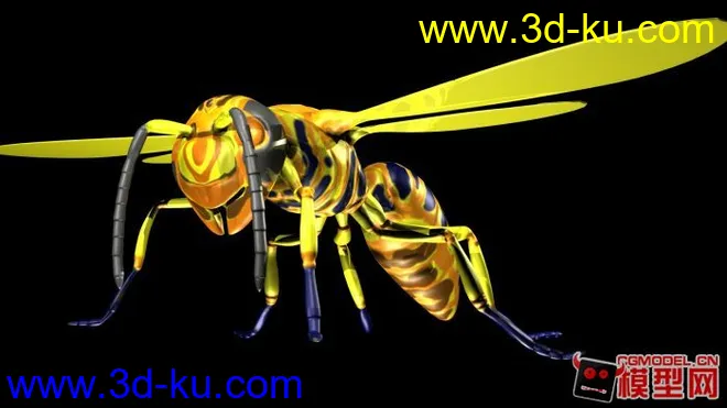 黄蜂模型的图片2