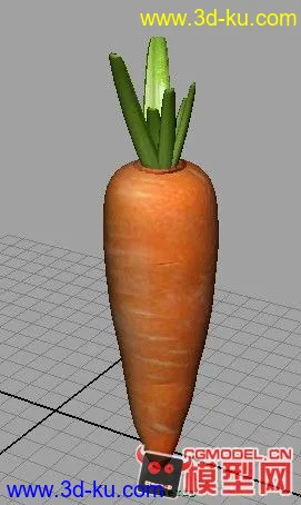 写实胡萝卜一个，大家多支持模型的图片1