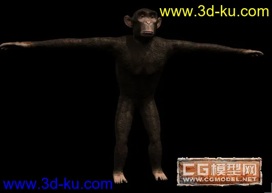 猴子模型的图片1