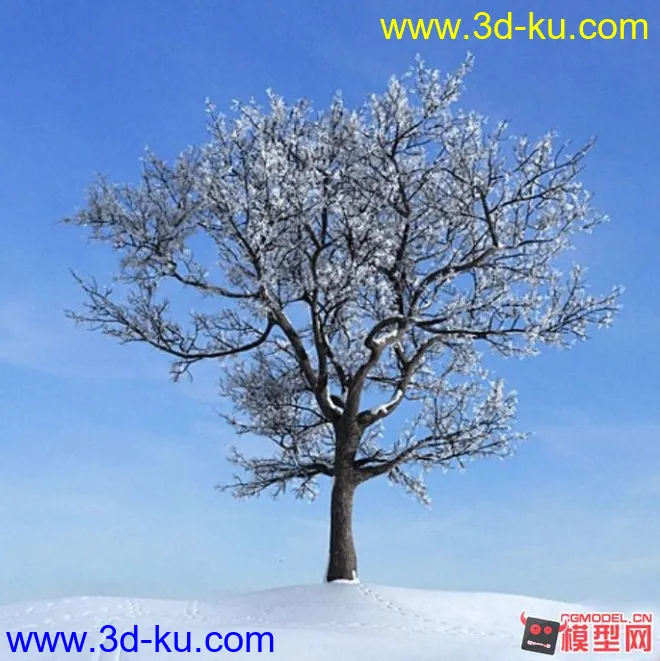 高精度写实冬天雪景树模型的图片1