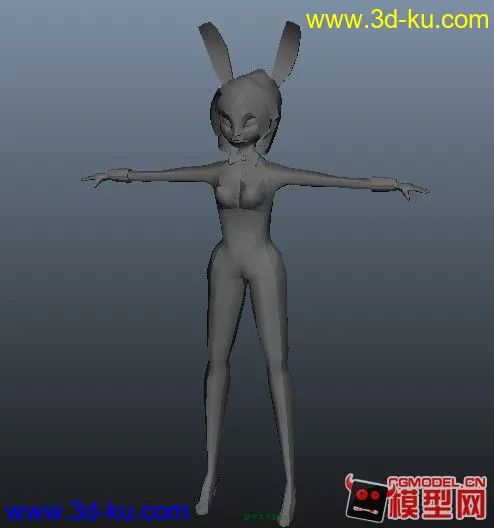 低模兔女郎模型的图片1