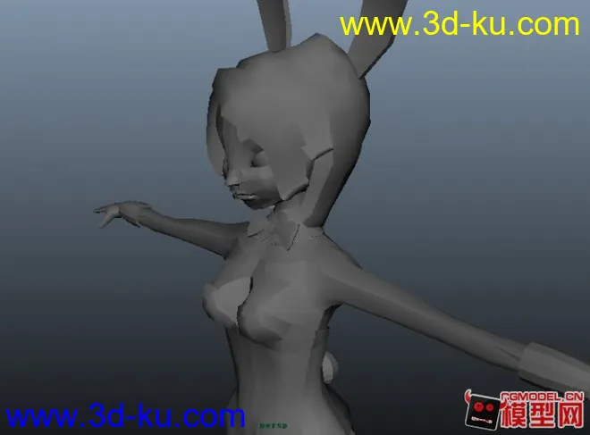 低模兔女郎模型的图片2