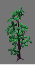 一些Q版小植物，给大家分享模型的图片2
