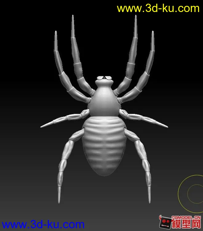 蜘蛛模型的图片3