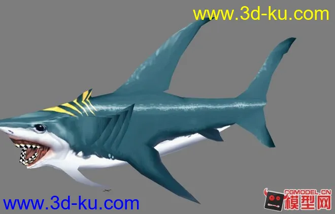 鲨鱼`~模型的图片1