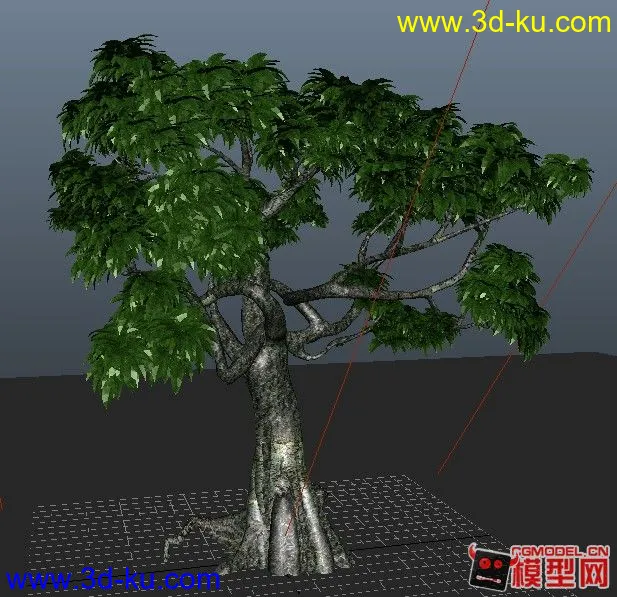收集的超精细树木模型，大家分享学习下！的图片1
