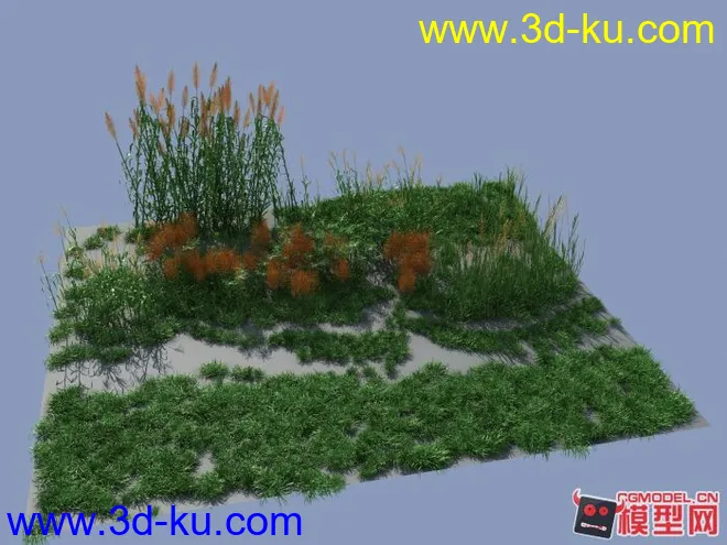 写实 草+芦苇模型的图片1