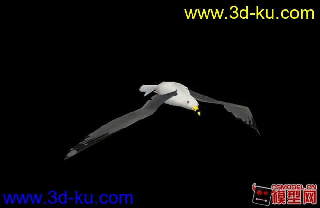 自己制作海鸥 骨骼绑定带动画模型的图片1