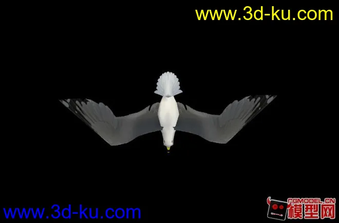 自己制作海鸥 骨骼绑定带动画模型的图片3