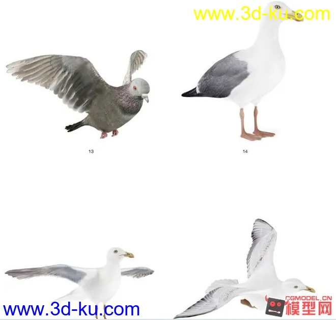 鸽子 金鱼 鸳鸯 鸭子 鱼缸 鹅模型的图片3