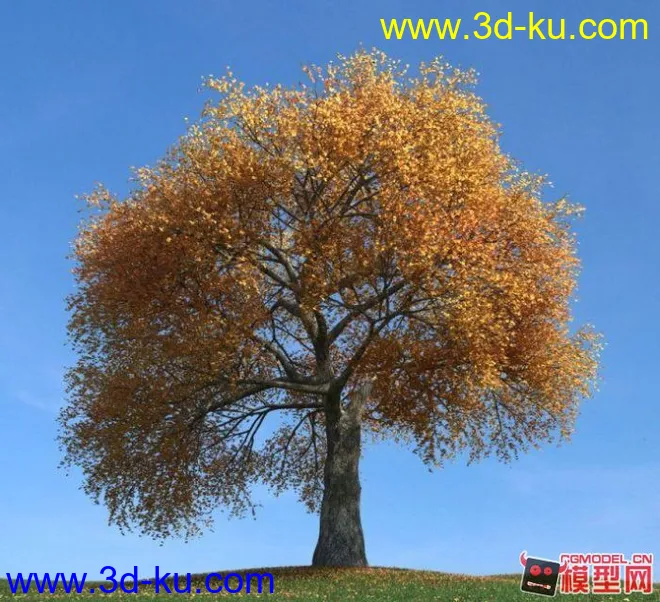 超写实—金黄树叶的大树模型的图片1