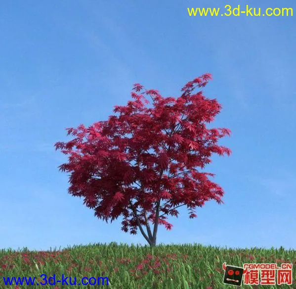 超高精度模型—红叶树的图片1