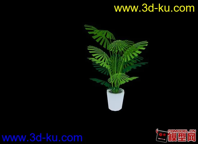 常用室内植物模型的图片1