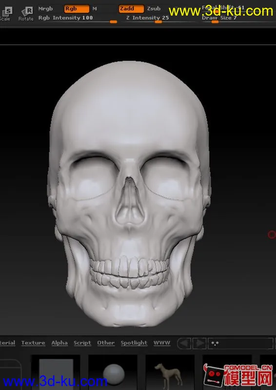 写实头骨，模型，下载的图片1