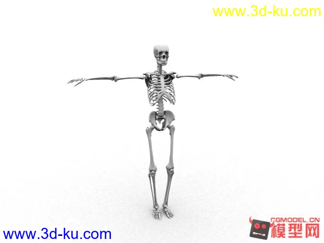 人体骨骼，模型，maya,写实的图片1