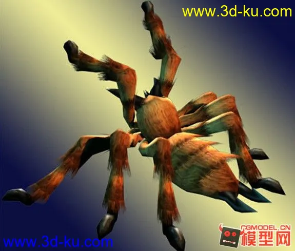 写实蜘蛛spider~~模型的图片1
