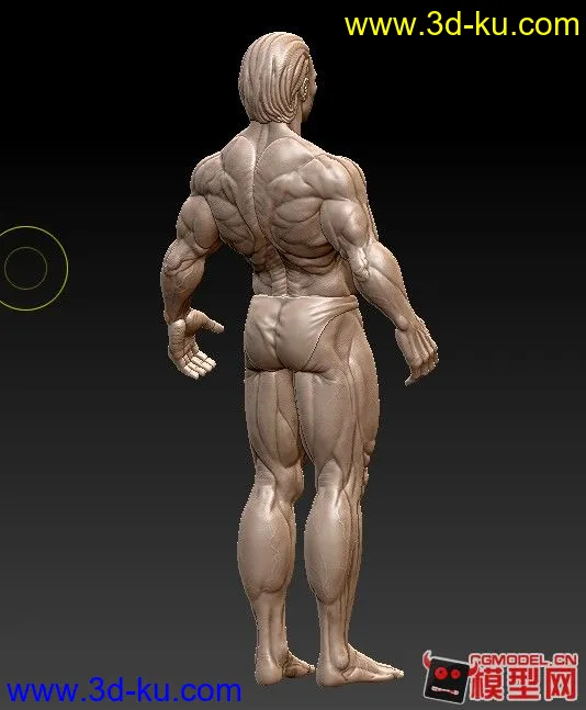 zbrush 人体模型的图片2