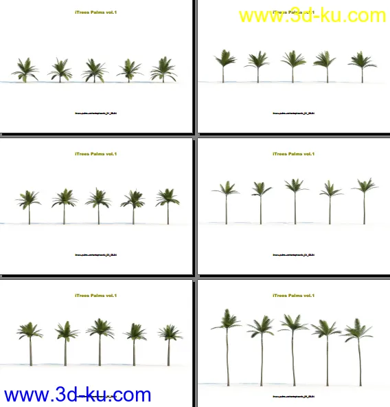 124类620种形态各异的棕榈树模模型的图片1