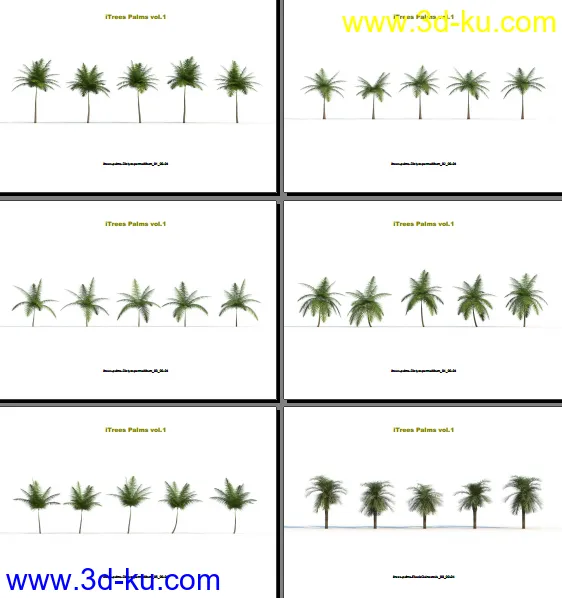 124类620种形态各异的棕榈树模模型的图片2