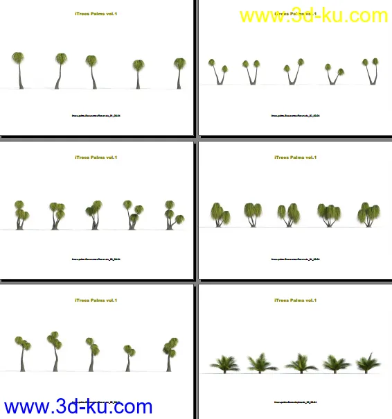 124类620种形态各异的棕榈树模模型的图片4