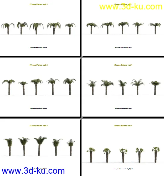 124类620种形态各异的棕榈树模模型的图片7