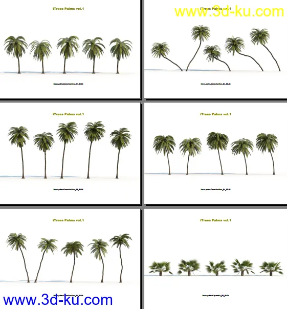 124类620种形态各异的棕榈树模模型的图片9
