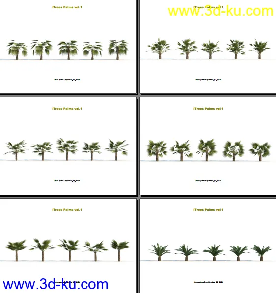 124类620种形态各异的棕榈树模模型的图片10