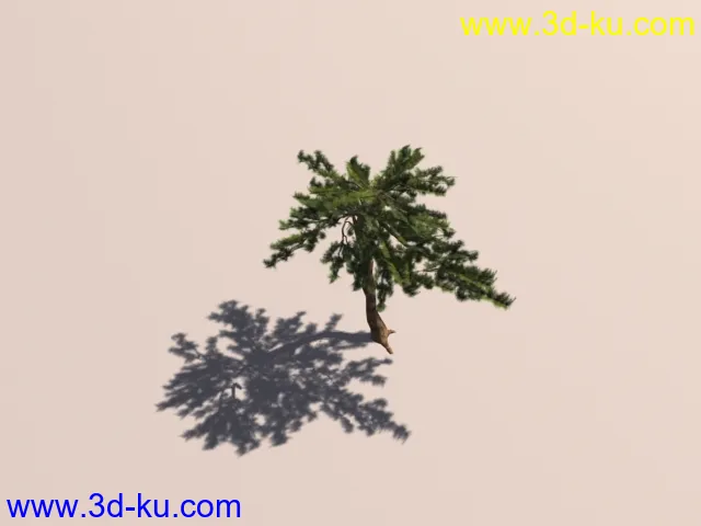 松树模型2的图片1