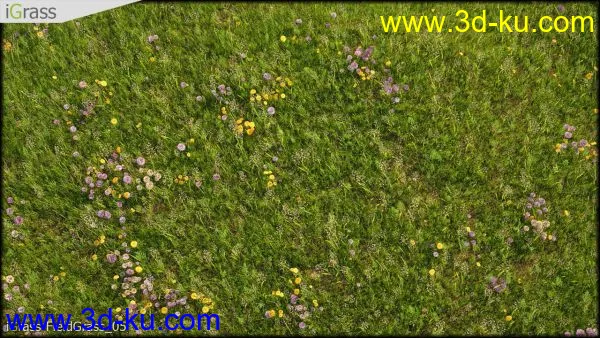 3DSMAX草丛模型合集下载的图片13