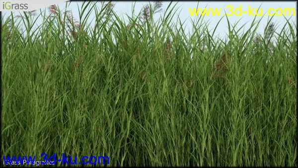 3DSMAX草丛模型合集下载的图片27