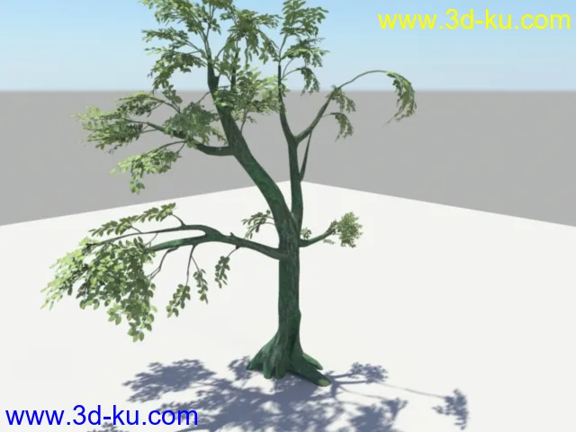 做的树，分享一下模型的图片1
