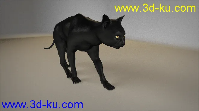 猫  走路  绑定动画   四足动画模型的图片3