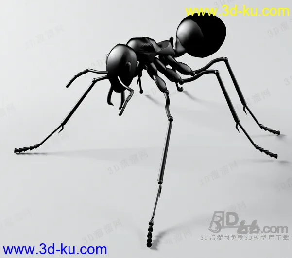 蚂蚁模型的图片1
