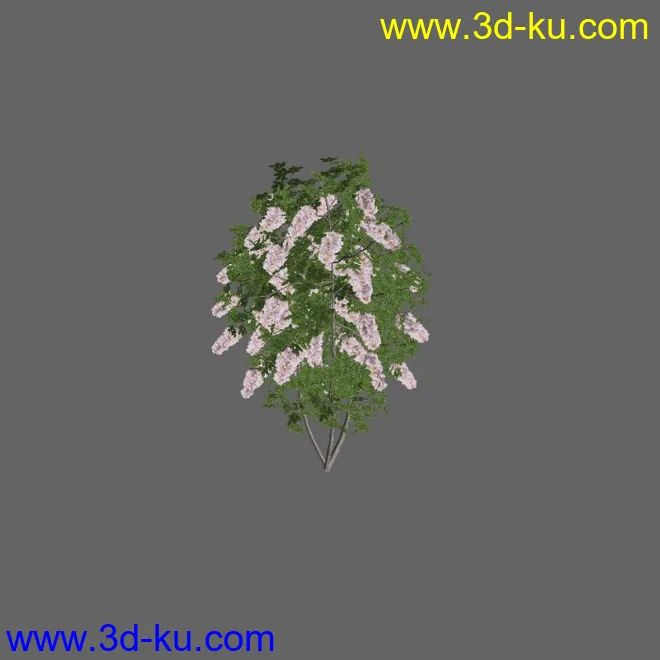 绿色植被 3d模型 Greenworks Xfrog Plants Blossoming-Iso的图片8