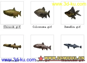 六种不同的鱼类模型的图片3
