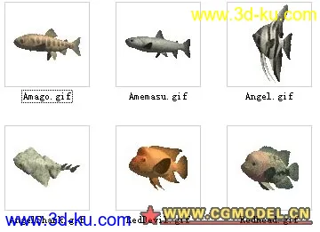 六种不同的鱼类模型的图片4