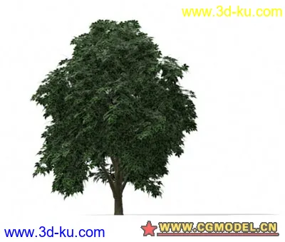 tree001模型的图片1