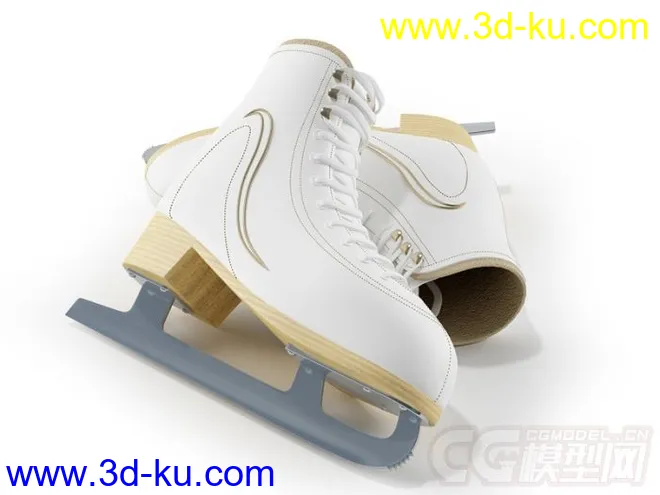 溜冰鞋模型的图片2