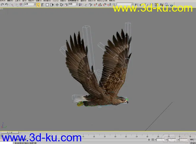 老鹰--- 写实逼真带各种动作模型的图片4