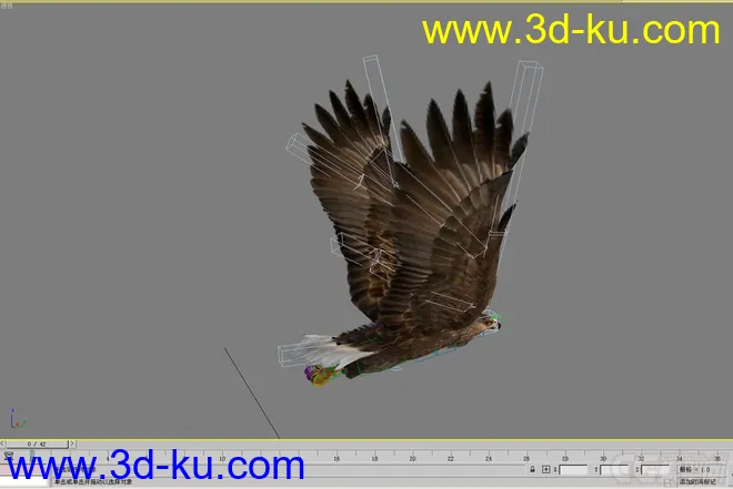 老鹰--- 写实逼真带各种动作模型的图片5