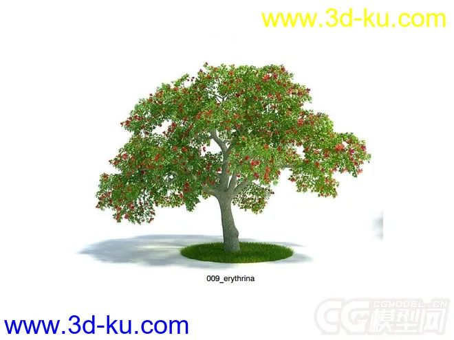 刺桐灌木模型的图片1