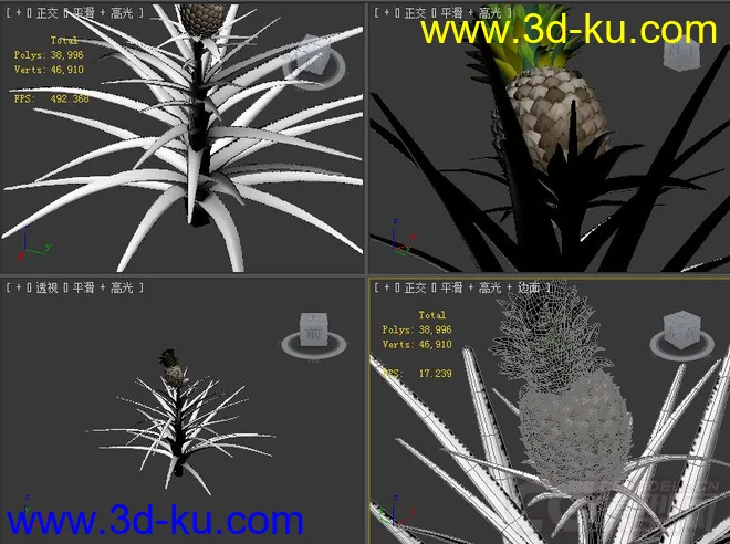 凤梨;菠萝植物模型的图片2