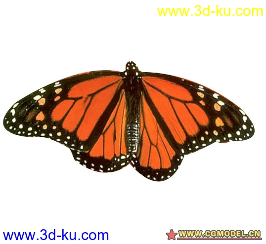 6只蝴蝶模型（有贴图，有骨骼，有动画），做模型就是这么简单的图片9