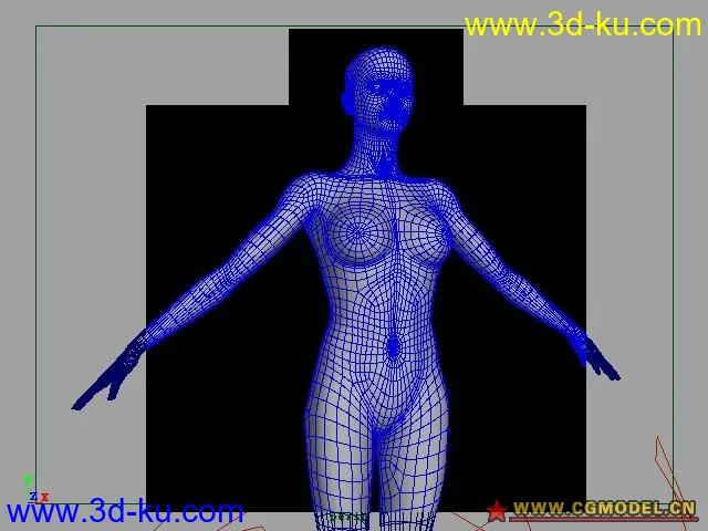 女人体模型的图片1